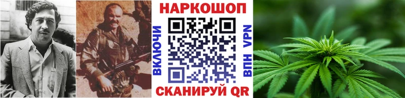  Cocaine Кущёвская