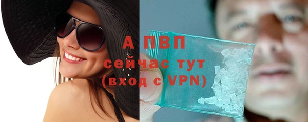 круглые Пересвет