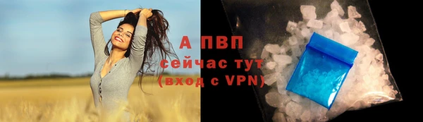 стафф Переславль-Залесский