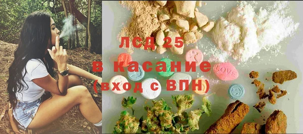 круглые Пересвет
