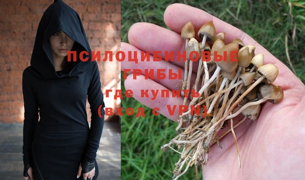 стафф Переславль-Залесский