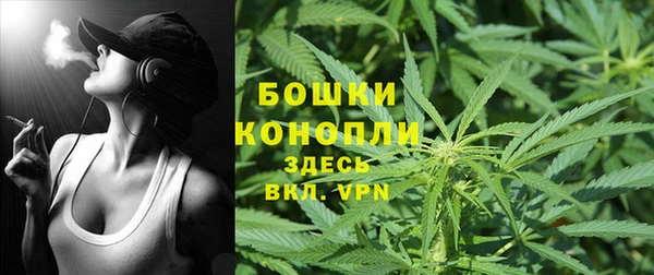 мет Пестово