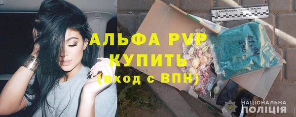 круглые Пересвет