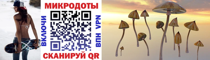 Галлюциногенные грибы мухоморы  Кущёвская 